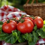 Tomatoes Tomatoes Image