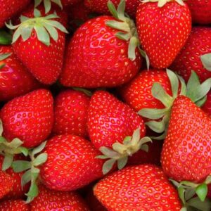 5KG Strawberries