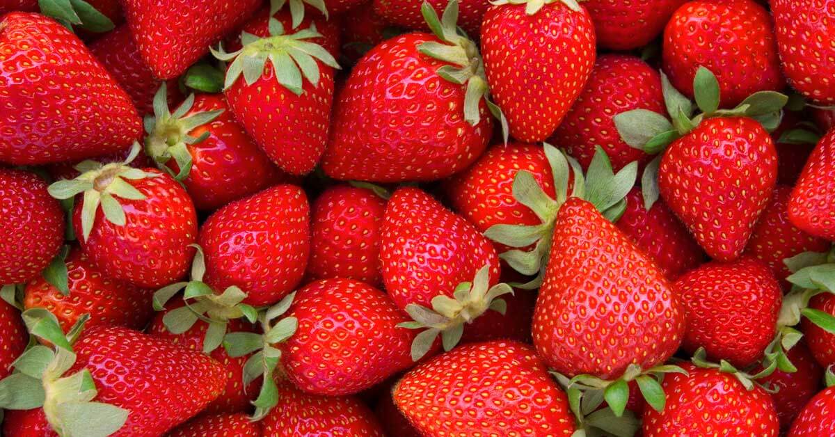 5KG Strawberries