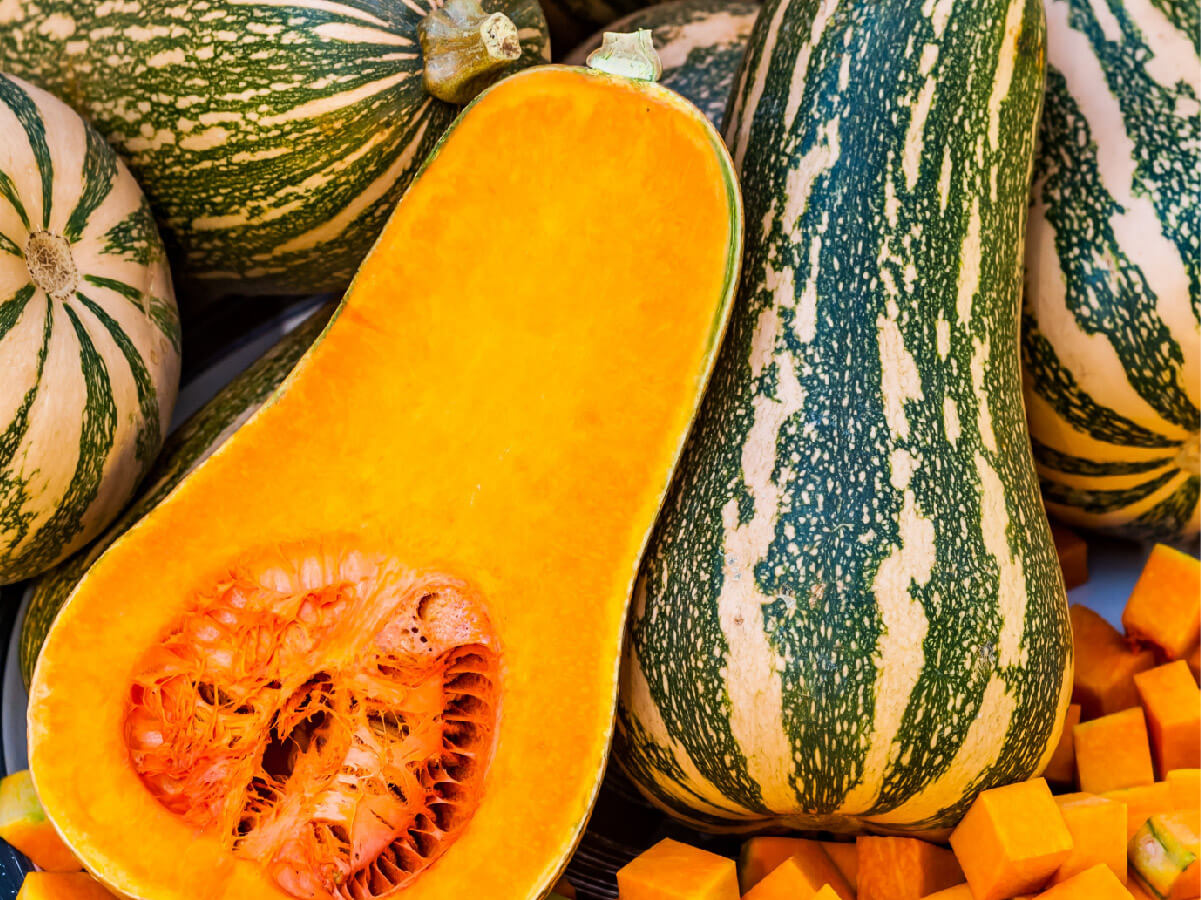 20KG Barbra Butternut Squash Bag