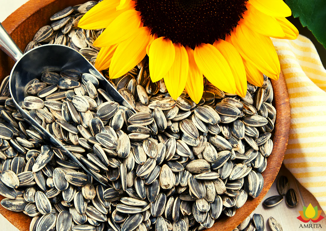 10KG Sunflower Seeds